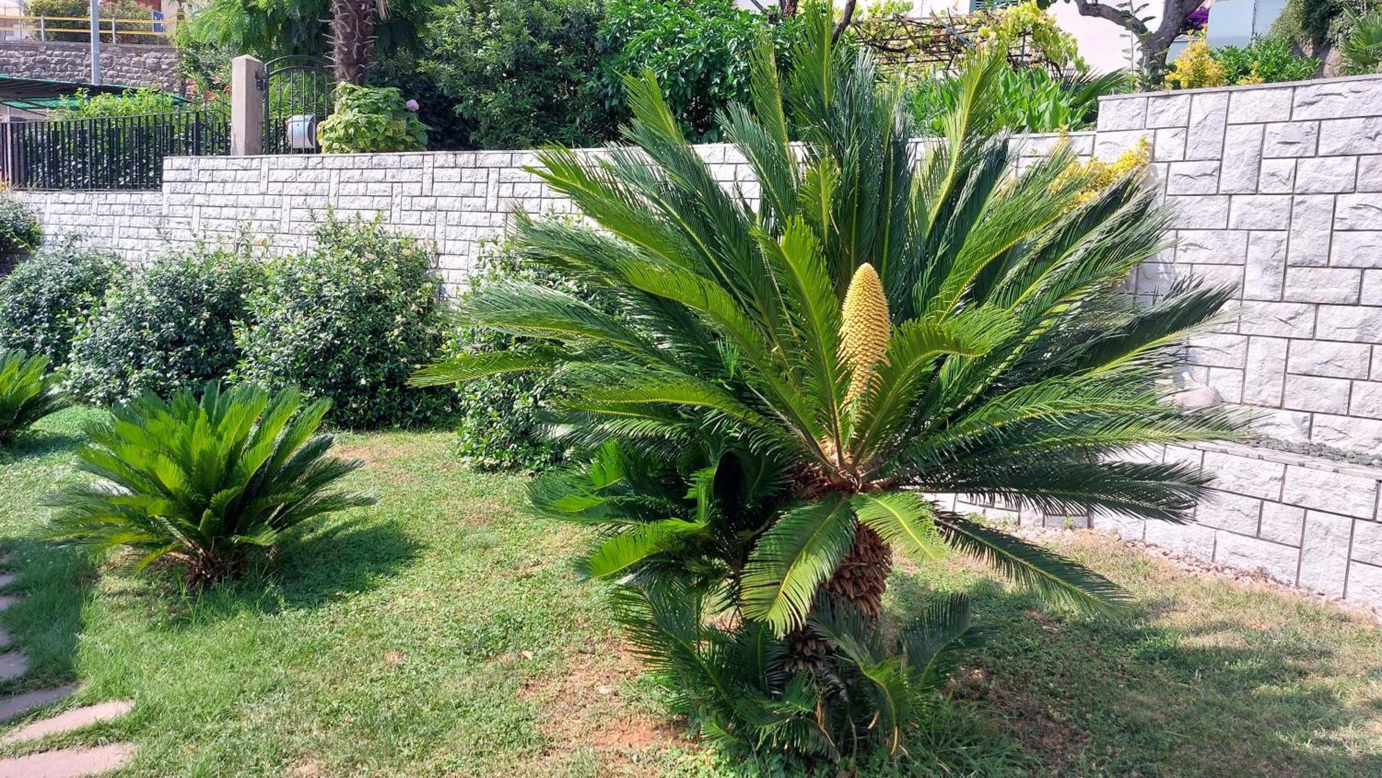 דירות Opatija Centar מראה חיצוני תמונה